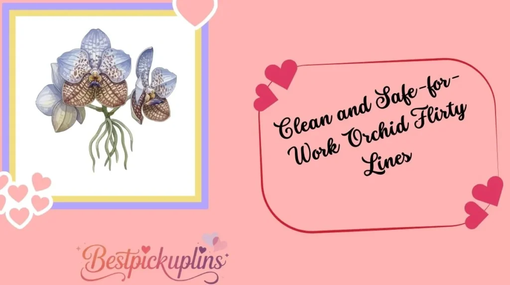 Clean and Safe-for-Work Orchid Flirty Lines