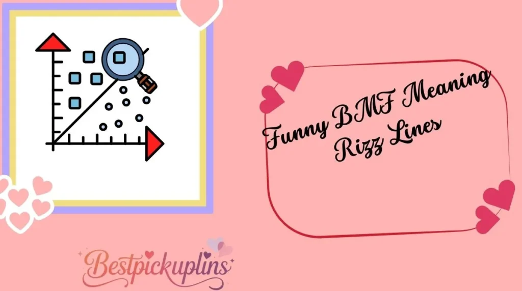 Funny BMF Meaning Rizz Lines