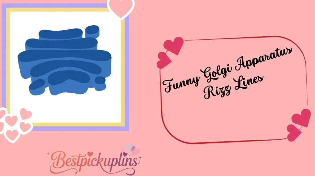 Funny Golgi Apparatus Rizz Lines