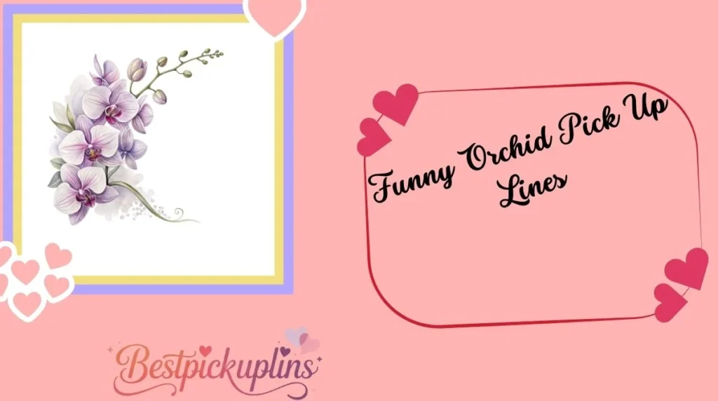 Funny Orchid Pick Up Lines