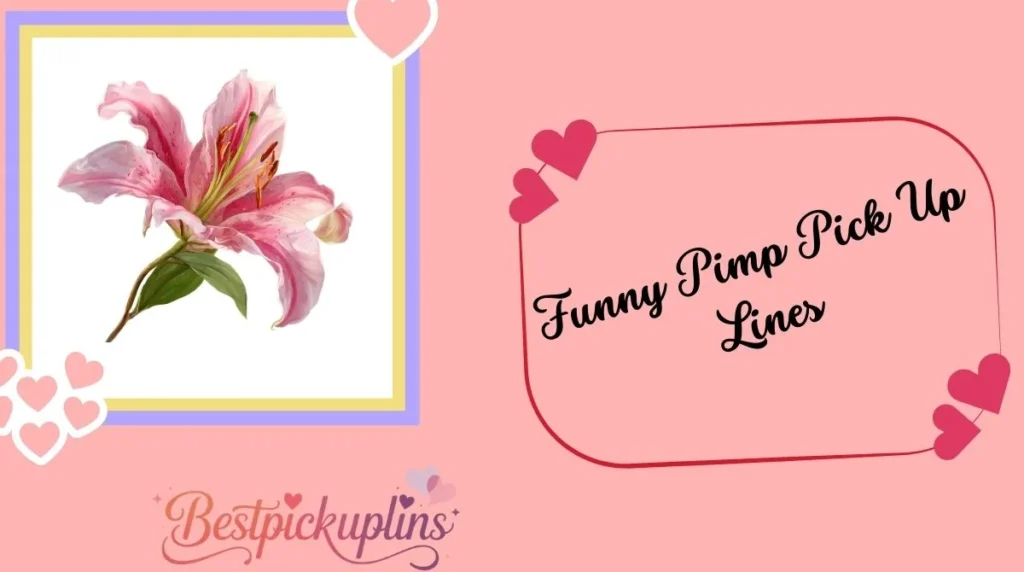 Funny Pimp Pick Up Lines