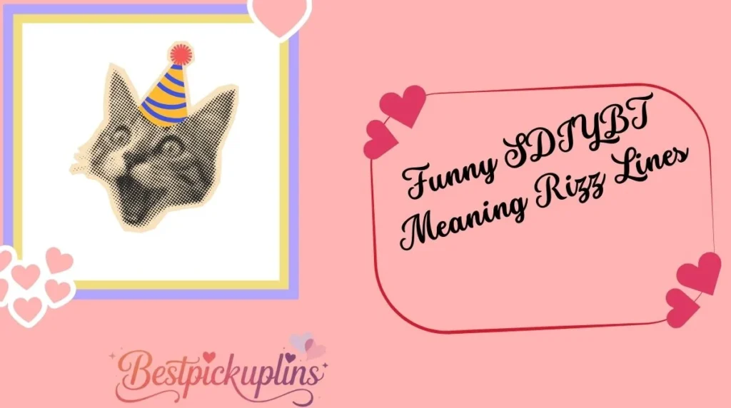 Funny SDIYBT Meaning Rizz Lines