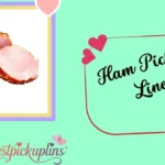 Ham Pick Up Lines