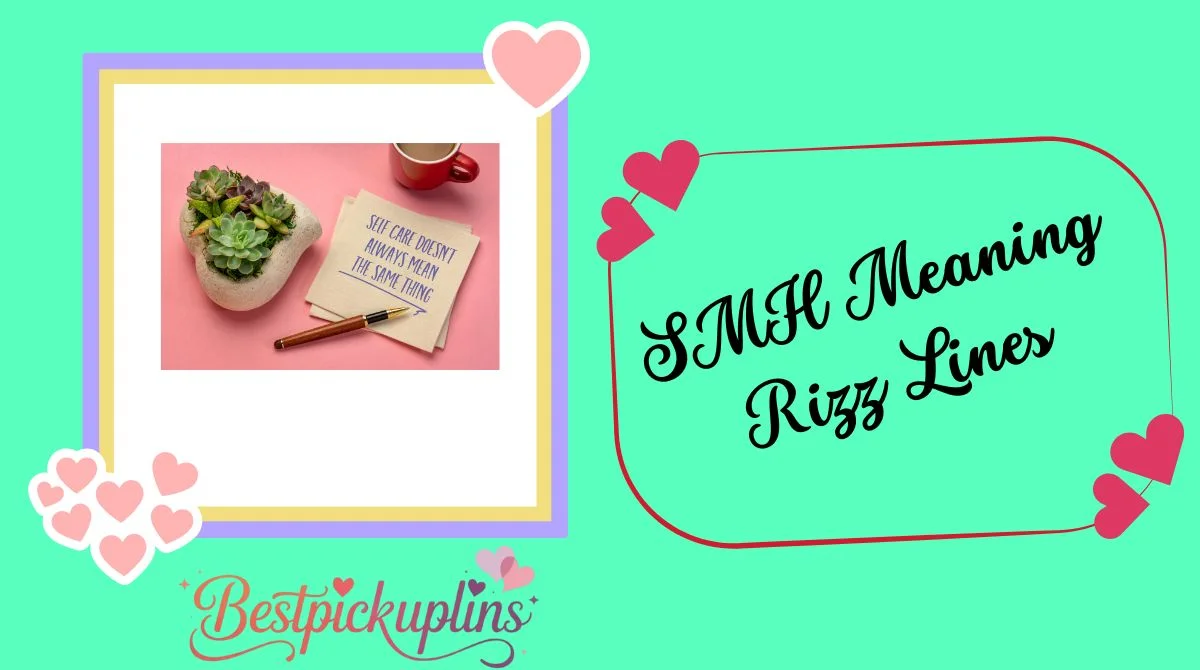 SMH Meaning Rizz Lines