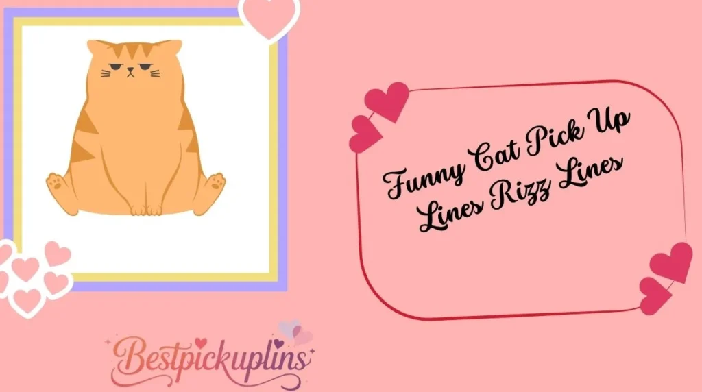 Funny Cat Pick Up Lines Rizz Lines