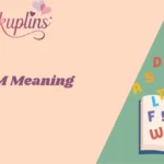 NVM Meaning