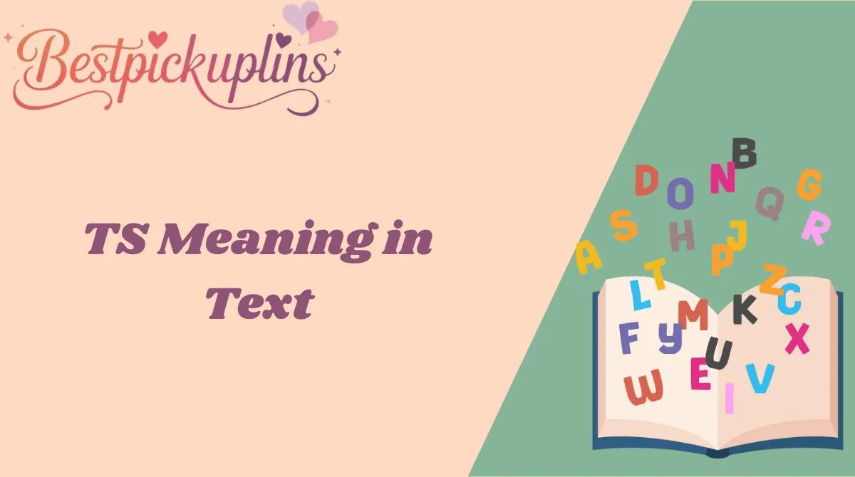 TS Meaning in Text