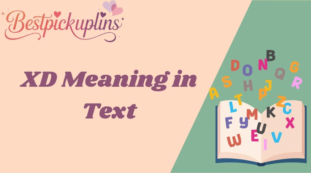 XD Meaning in Text