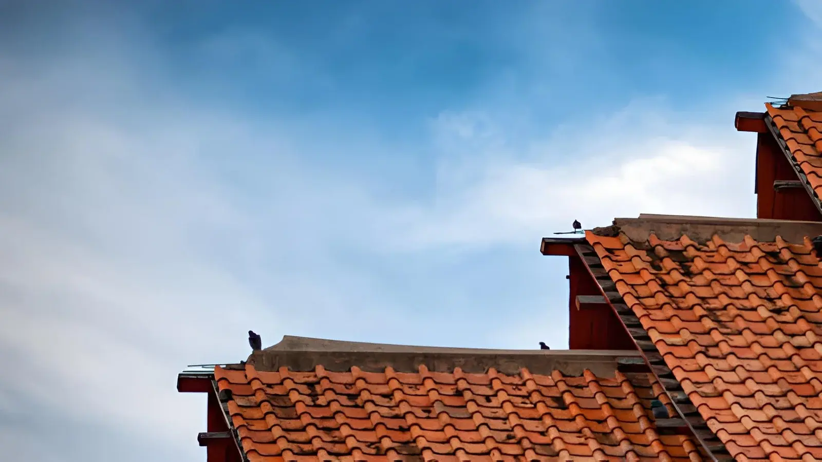 Proven Roof Maintenance Strategies to Extend Your Roof's Lifespan